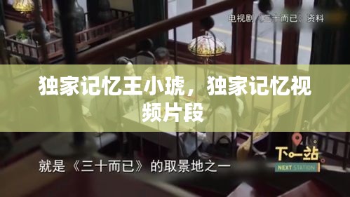 獨家記憶王小琥，獨家記憶視頻片段 