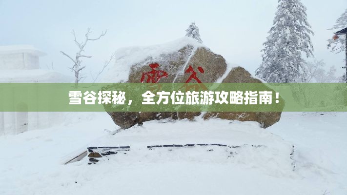 雪谷探秘，全方位旅游攻略指南！