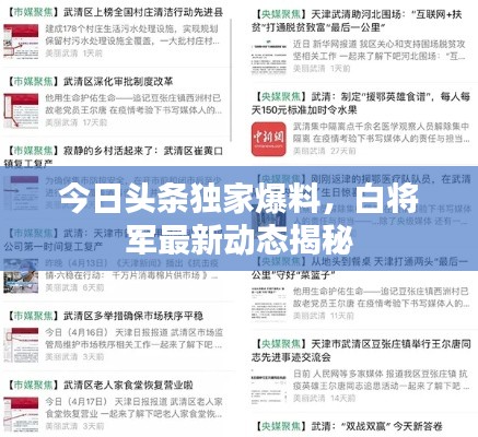 今日頭條獨(dú)家爆料，白將軍最新動(dòng)態(tài)揭秘