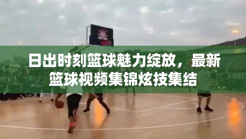 日出時刻籃球魅力綻放，最新籃球視頻集錦炫技集結