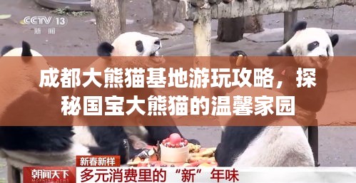 成都大熊貓基地游玩攻略，探秘國寶大熊貓的溫馨家園