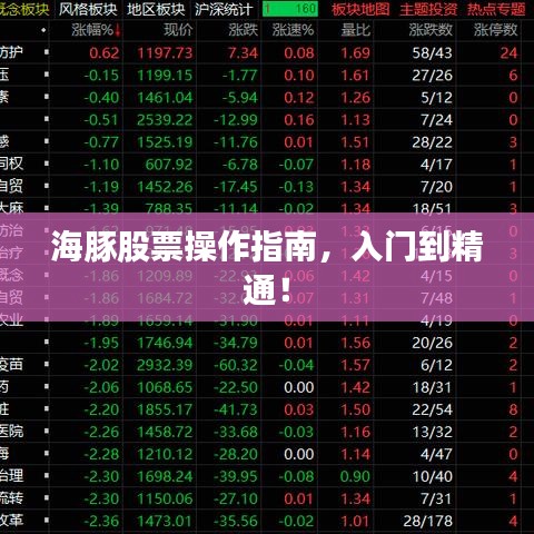 海豚股票操作指南，入門到精通！