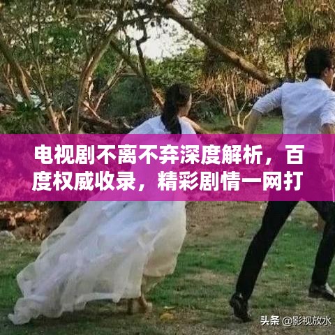 電視劇不離不棄深度解析，百度權威收錄，精彩劇情一網打盡！