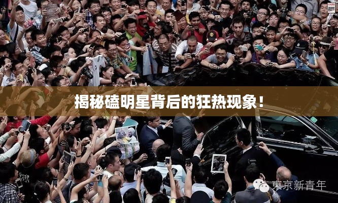 揭秘磕明星背后的狂熱現(xiàn)象！