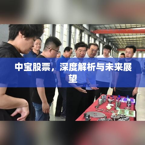 中寶股票，深度解析與未來(lái)展望