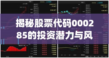 揭秘股票代碼000285的投資潛力與風險控制策略，股票深度解析