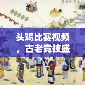 頭雞比賽視頻，古老競技盛宴再現(xiàn)輝煌！