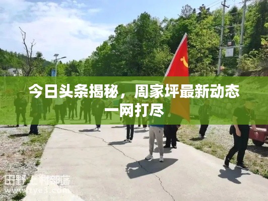 今日頭條揭秘，周家坪最新動(dòng)態(tài)一網(wǎng)打盡