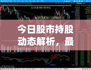 今日股市持股動(dòng)態(tài)解析，最新策略與趨勢(shì)分析