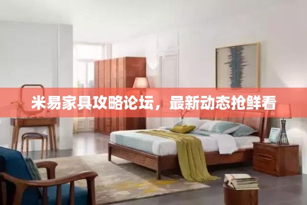 米易家具攻略論壇，最新動態(tài)搶鮮看