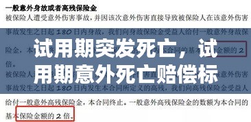 試用期突發(fā)死亡，試用期意外死亡賠償標(biāo)準(zhǔn)2020 