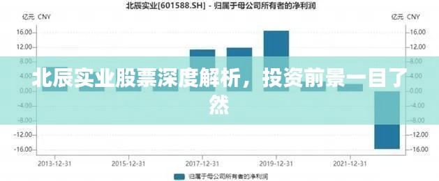 北辰實(shí)業(yè)股票深度解析，投資前景一目了然