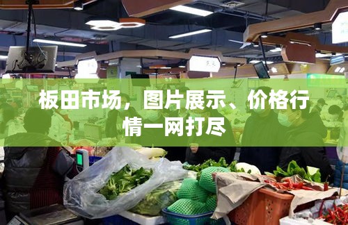 板田市場，圖片展示、價(jià)格行情一網(wǎng)打盡
