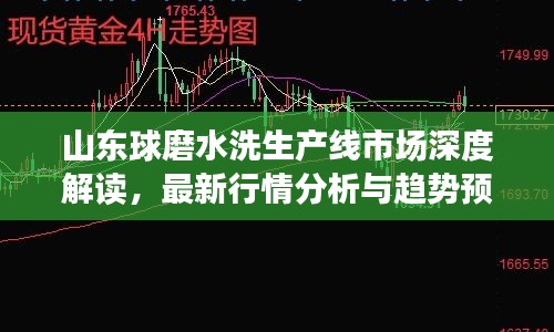 山東球磨水洗生產(chǎn)線市場深度解讀，最新行情分析與趨勢預(yù)測