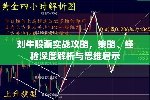 劉牛股票實(shí)戰(zhàn)攻略，策略、經(jīng)驗(yàn)深度解析與思維啟示