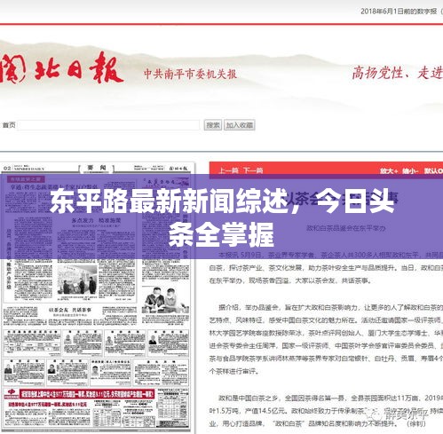 東平路最新新聞綜述，今日頭條全掌握