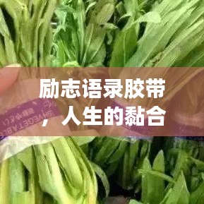 勵志語錄膠帶，人生的黏合劑，引領(lǐng)你走向成功之路