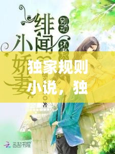 獨(dú)家規(guī)則小說，獨(dú)家jiyi 