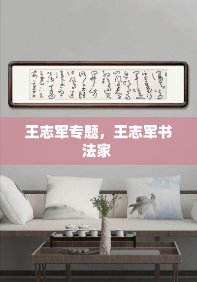 王志軍專(zhuān)題，王志軍書(shū)法家 