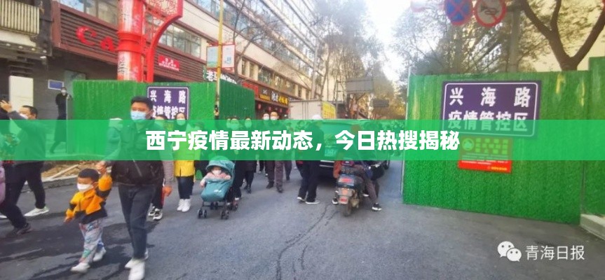 西寧疫情最新動態(tài)，今日熱搜揭秘