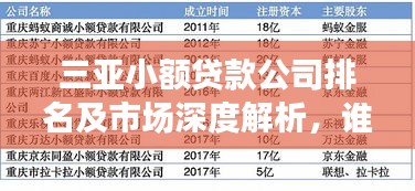 三亞小額貸款公司排名及市場深度解析，誰是行業(yè)佼佼者？