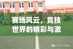 賽場風(fēng)云，競技世界的精彩與激情探尋