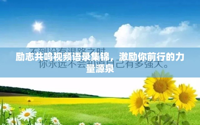 勵(lì)志共鳴視頻語錄集錦，激勵(lì)你前行的力量源泉