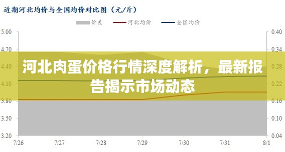 河北肉蛋價(jià)格行情深度解析，最新報(bào)告揭示市場(chǎng)動(dòng)態(tài)