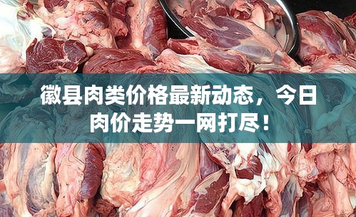 徽縣肉類價格最新動態(tài)，今日肉價走勢一網(wǎng)打盡！