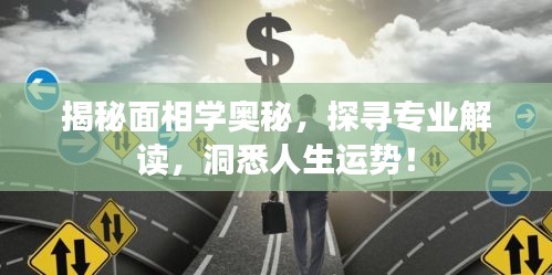 揭秘面相學(xué)奧秘，探尋專業(yè)解讀，洞悉人生運(yùn)勢！