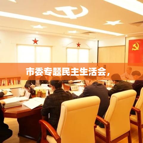 市委專題民主生活會， 
