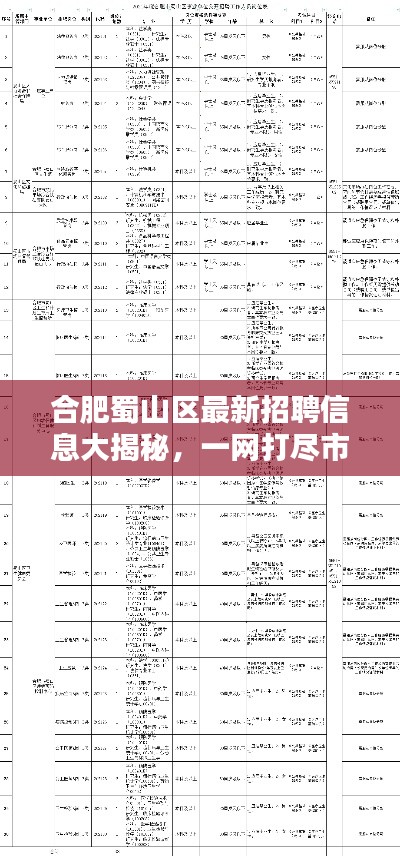 合肥蜀山區(qū)最新招聘信息大揭秘，一網(wǎng)打盡市區(qū)各大企業(yè)職位空缺