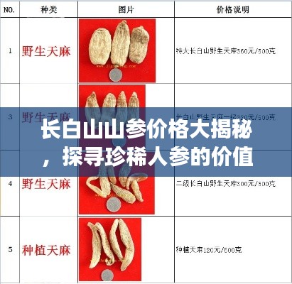 長(zhǎng)白山山參價(jià)格大揭秘，探尋珍稀人參的價(jià)值表