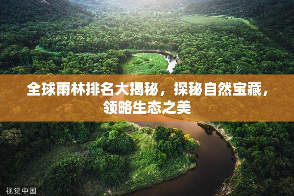 全球雨林排名大揭秘，探秘自然寶藏，領(lǐng)略生態(tài)之美