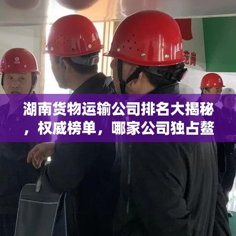 湖南貨物運(yùn)輸公司排名大揭秘，權(quán)威榜單，哪家公司獨(dú)占鰲頭？