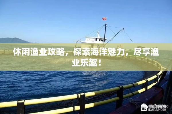 休閑漁業(yè)攻略，探索海洋魅力，盡享漁業(yè)樂趣！