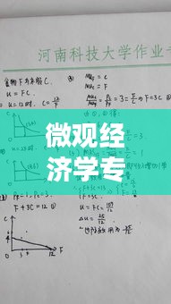 微觀經(jīng)濟(jì)學(xué)專題論述題型，微觀經(jīng)濟(jì)學(xué)期末考試論述題 