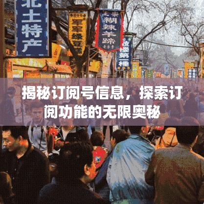 揭秘訂閱號信息，探索訂閱功能的無限奧秘