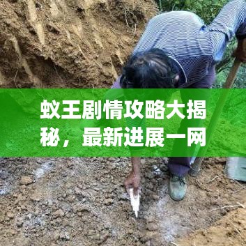 蟻王劇情攻略大揭秘，最新進(jìn)展一網(wǎng)打盡！