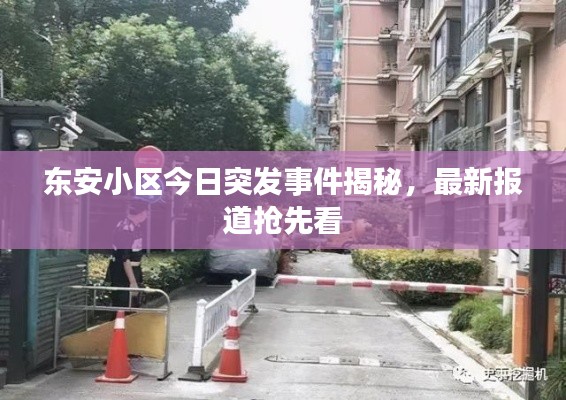東安小區(qū)今日突發(fā)事件揭秘，最新報道搶先看