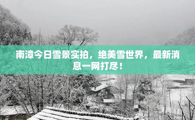 南漳今日雪景實拍，絕美雪世界，最新消息一網(wǎng)打盡！