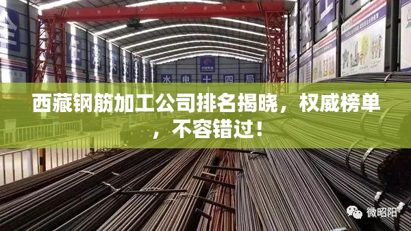 西藏鋼筋加工公司排名揭曉，權威榜單，不容錯過！