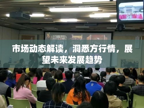 市場動態(tài)解讀，洞悉方行情，展望未來發(fā)展趨勢
