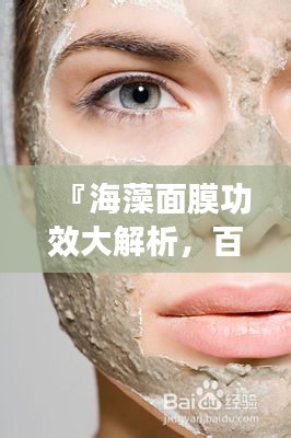 『海藻面膜功效大解析，百度搜索帶你全面了解』