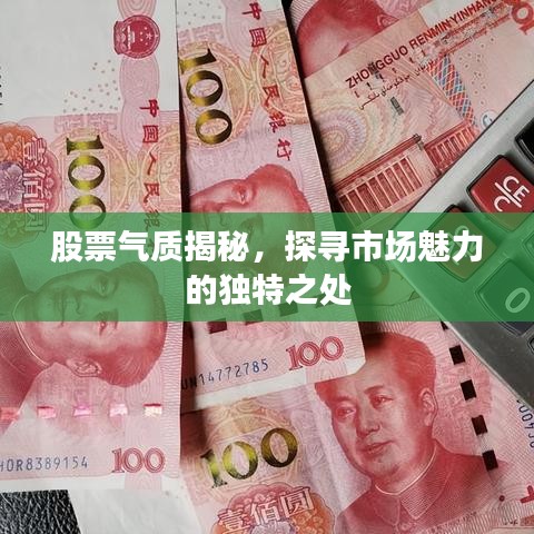 股票氣質(zhì)揭秘，探尋市場魅力的獨(dú)特之處
