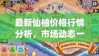 最新仙柚價格行情分析，市場動態(tài)一網(wǎng)打盡！