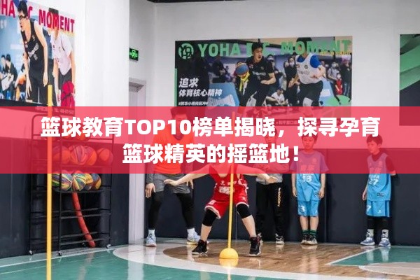 籃球教育TOP10榜單揭曉，探尋孕育籃球精英的搖籃地！