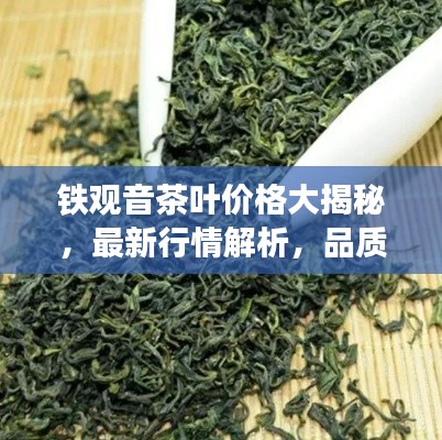 鐵觀音茶葉價(jià)格大揭秘，最新行情解析，品質(zhì)與價(jià)格雙重保障！