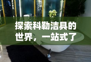 探索科勒潔具的世界，一站式了解科勒官網(wǎng)精品衛(wèi)浴體驗(yàn)