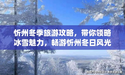 忻州冬季旅游攻略，帶你領(lǐng)略冰雪魅力，暢游忻州冬日風(fēng)光！